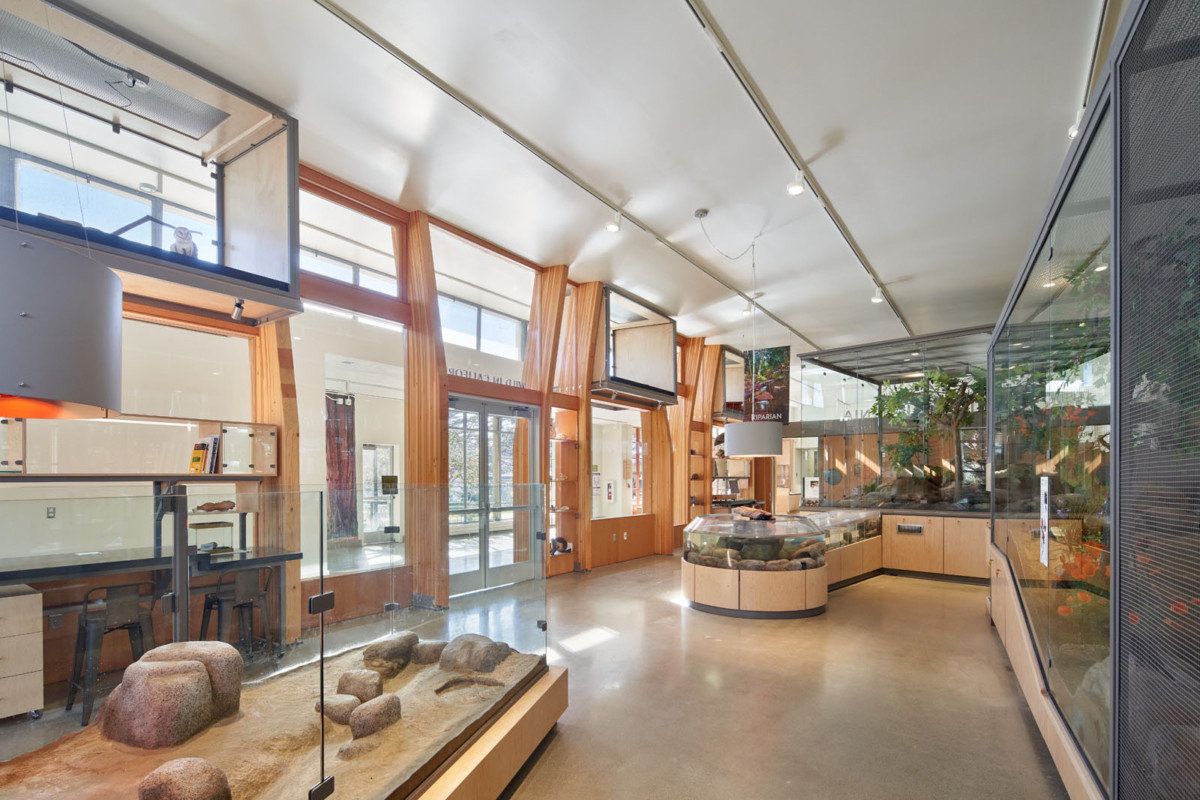 旧金山 Randall 博物馆翻新升级,绿色环保互动体验-15