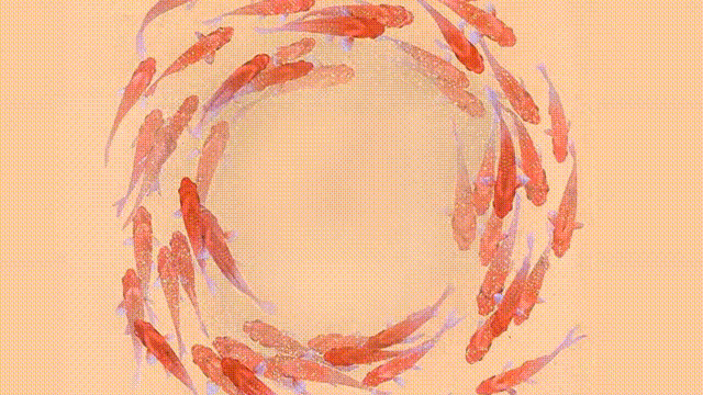 深圳宝安京基华邑酒店民宿酒店设计丨中国深圳-96