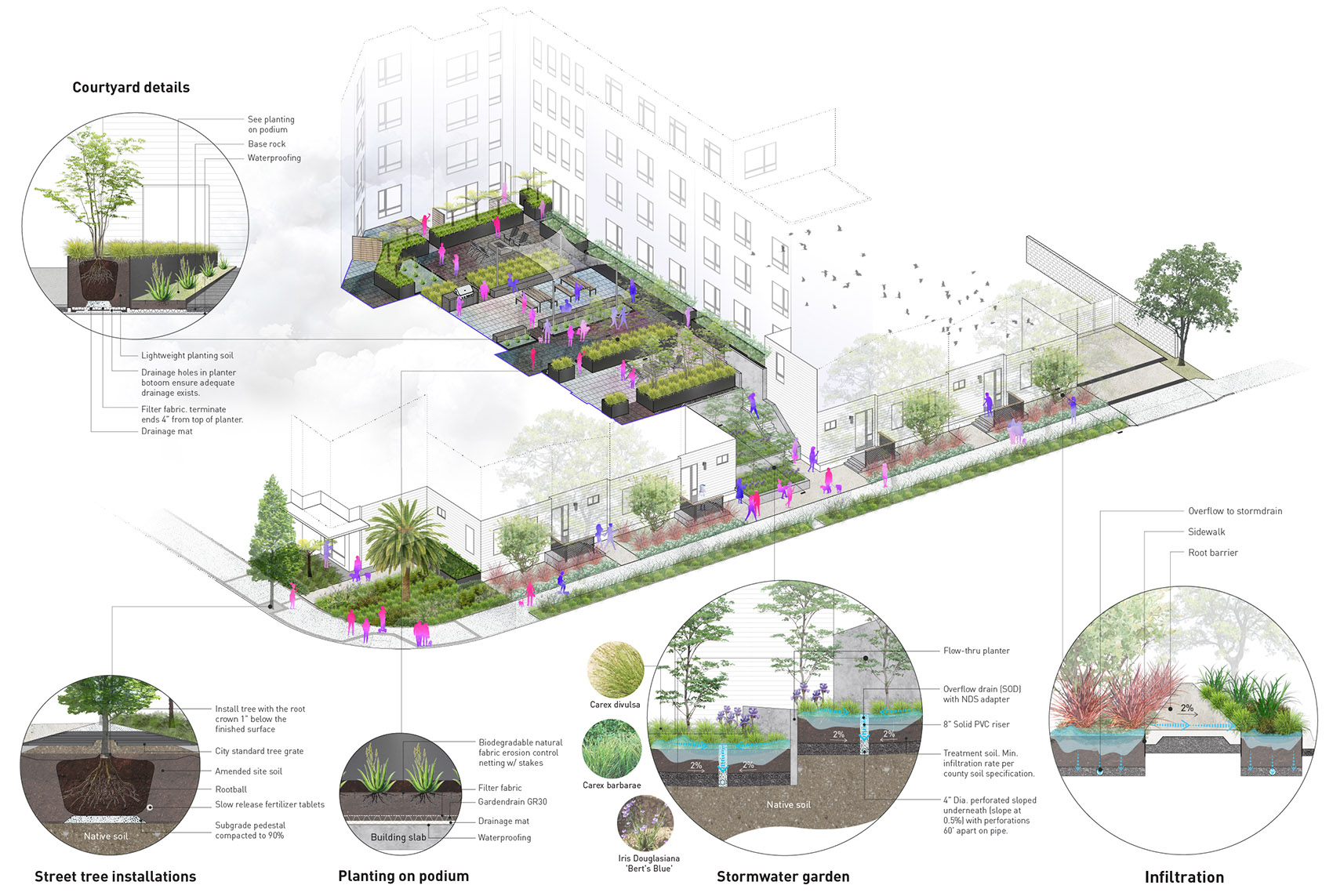 Danny's 餐厅上空花园丨美国加利福尼亚丨Spiegel Aihara Workshop (SAW)-44
