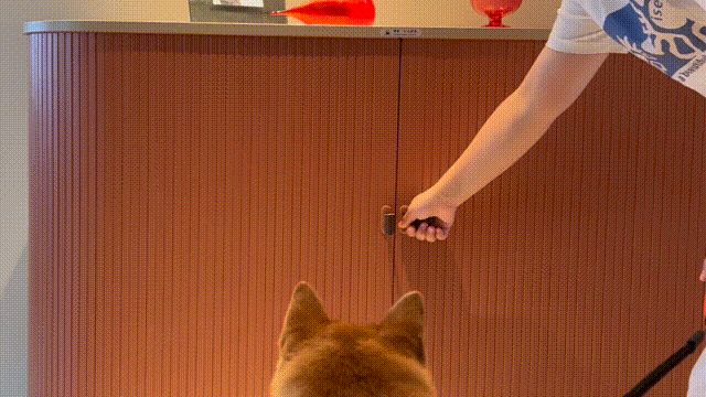 妮想的家丨中国南京丨S&L 盛利设计师事务所-29