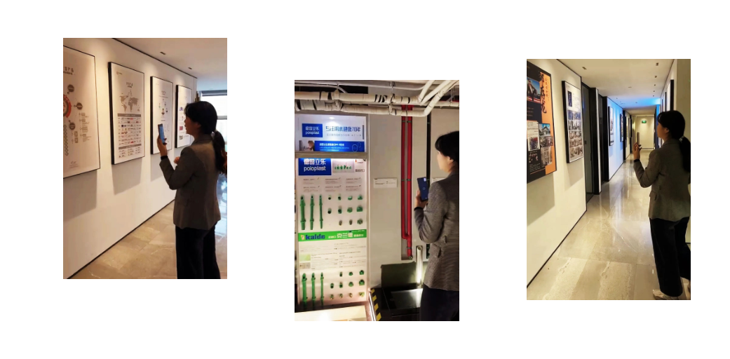 女王的新家丨星杰-12