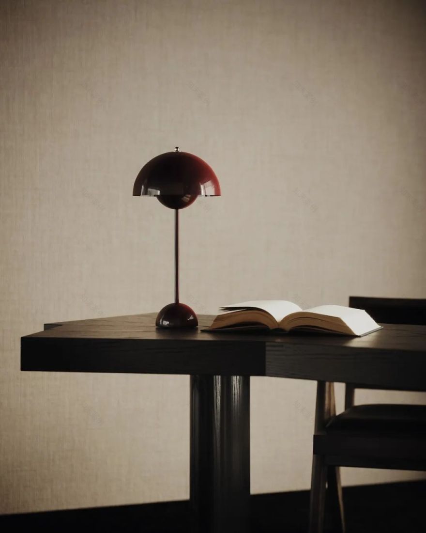 德国 The Snowcover 独栋住宅-18