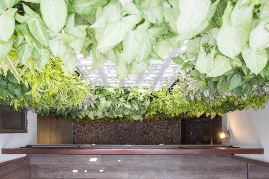 越南联排别墅的绿色生活空间-43