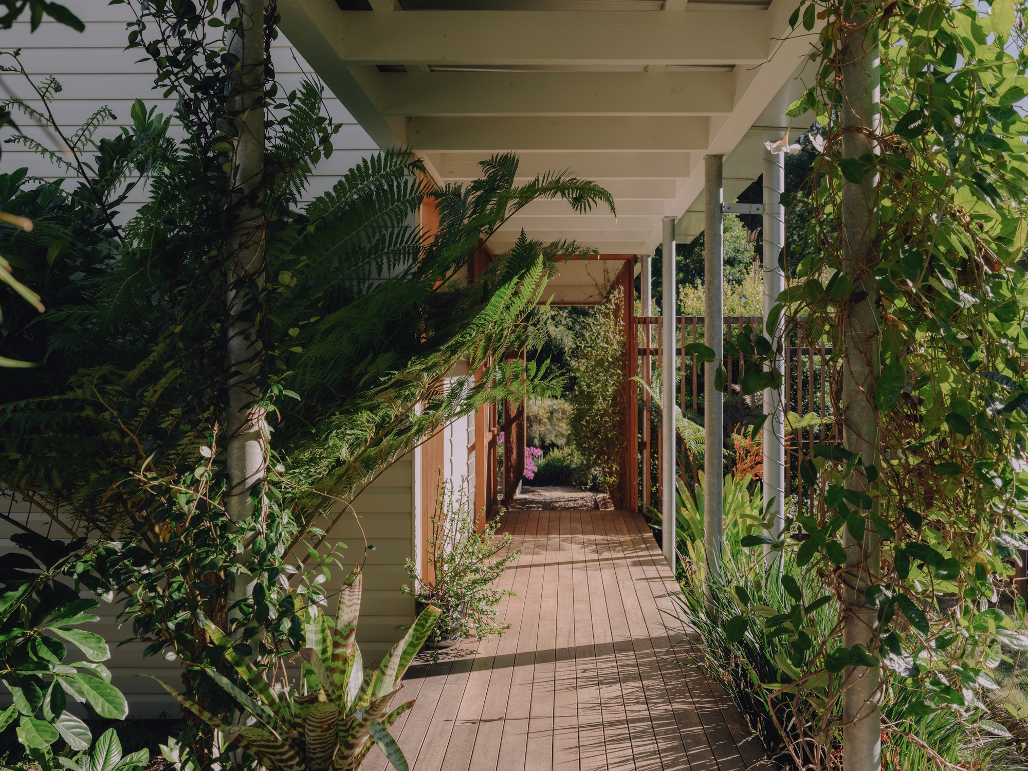 丨澳大利亚丨Dan Wilson,Henry Bennett-13