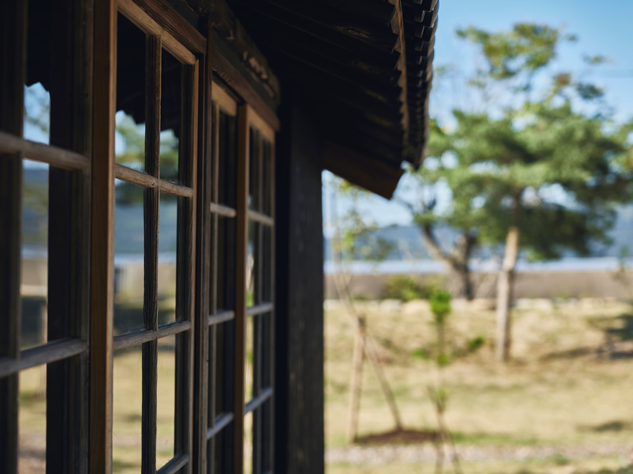 本岛避难所丨日本丨Makoto Yamaguchi-80