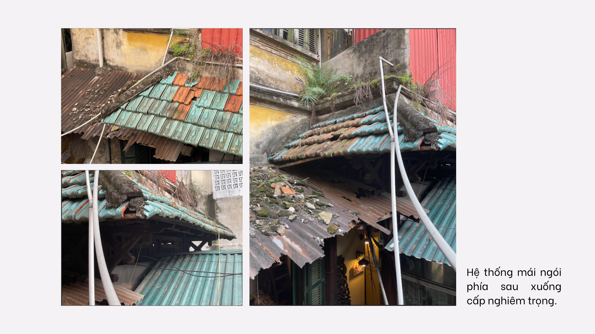 Nghiên cứu bảo tồn Biệt thự số 8 Chân Cầm-45