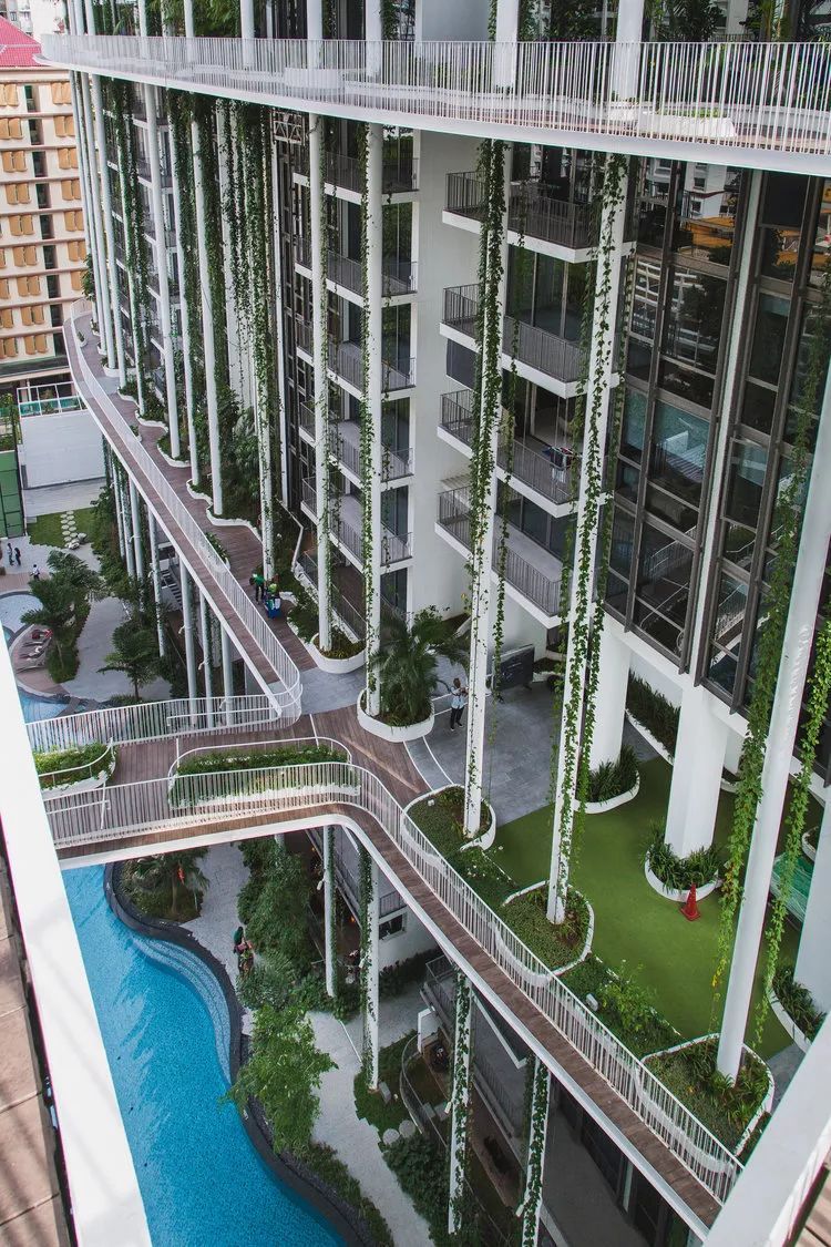 新加坡 8 大豪宅设计,创意无限-73