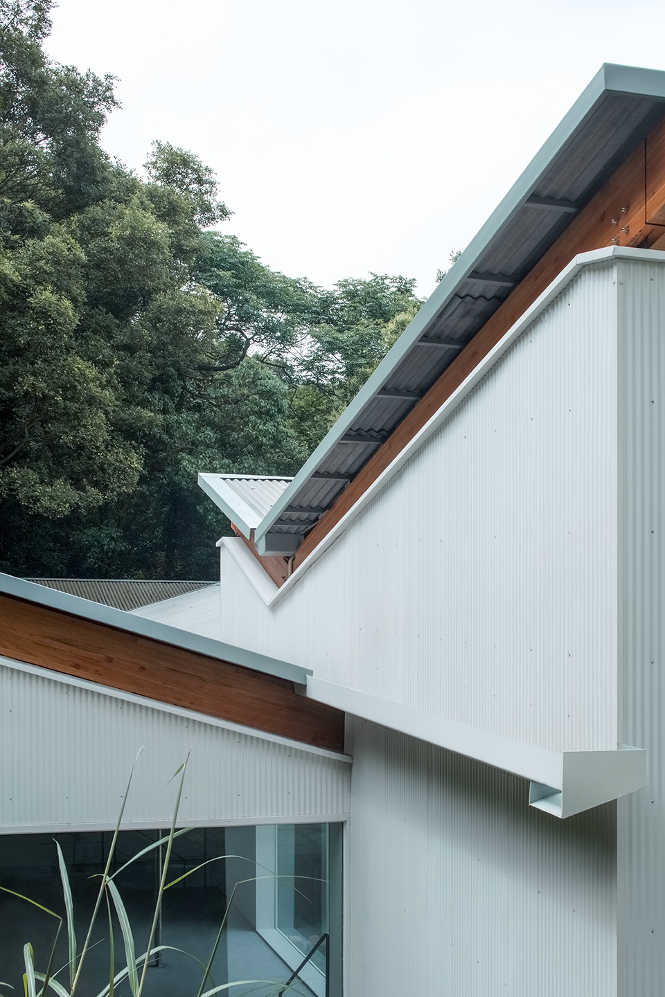 山林间的蝶翼建筑 · 定海台房丨中国舟山丨久舍营造工作室-63