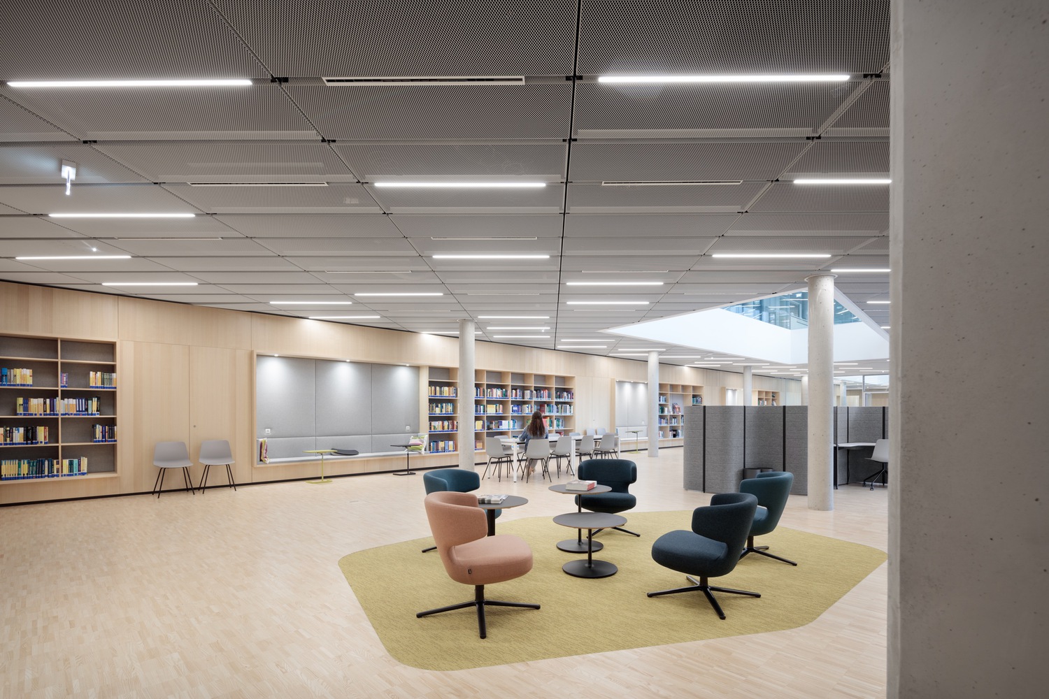 奥地利科技学院化学实验室丨奥地利丨Franz&Sue-15