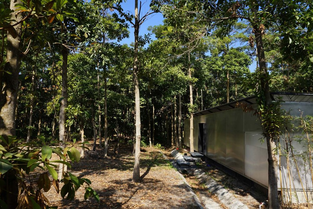 林中亭（2019）-47