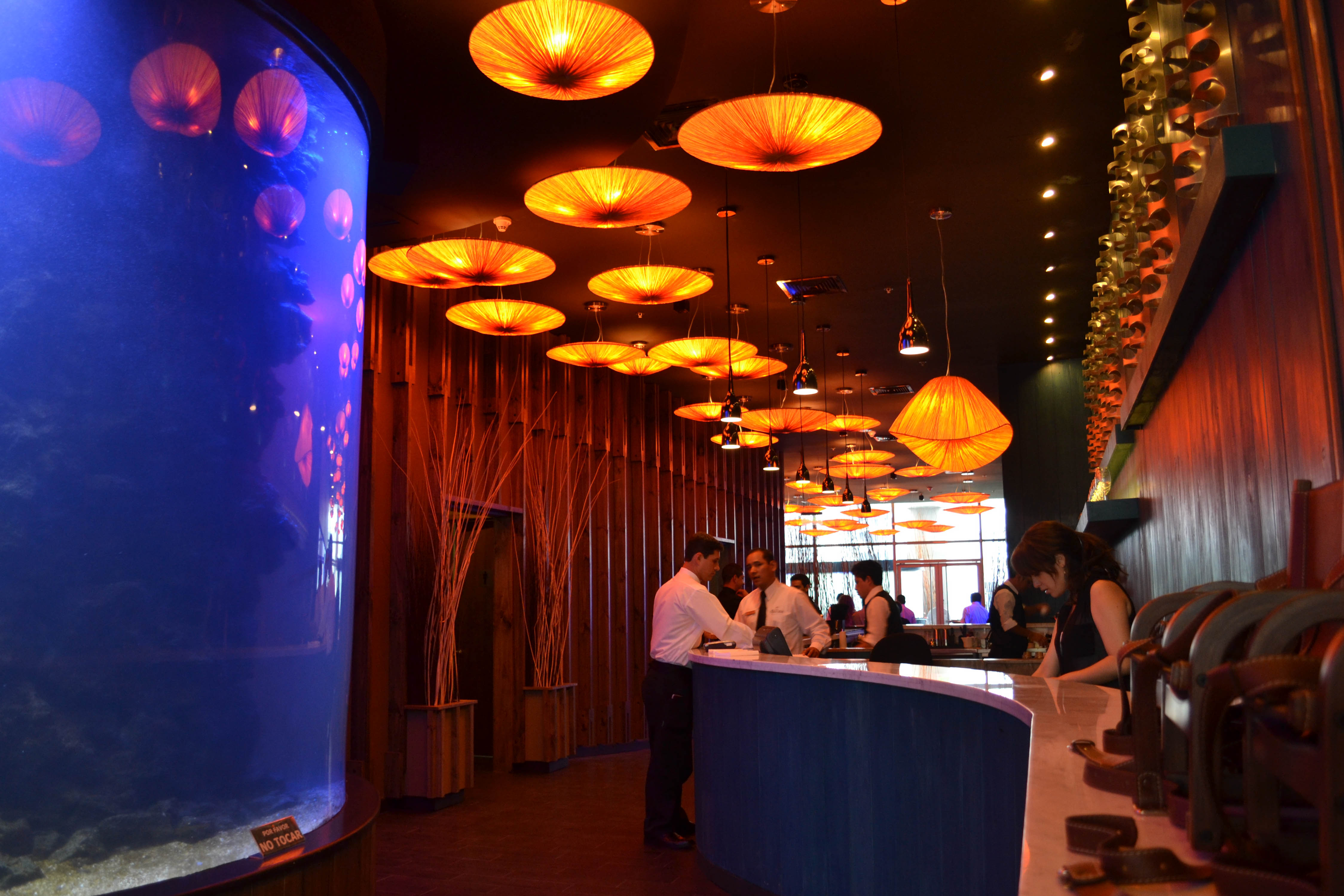 科斯塔米亚餐厅水族馆丨智利圣地亚哥-5