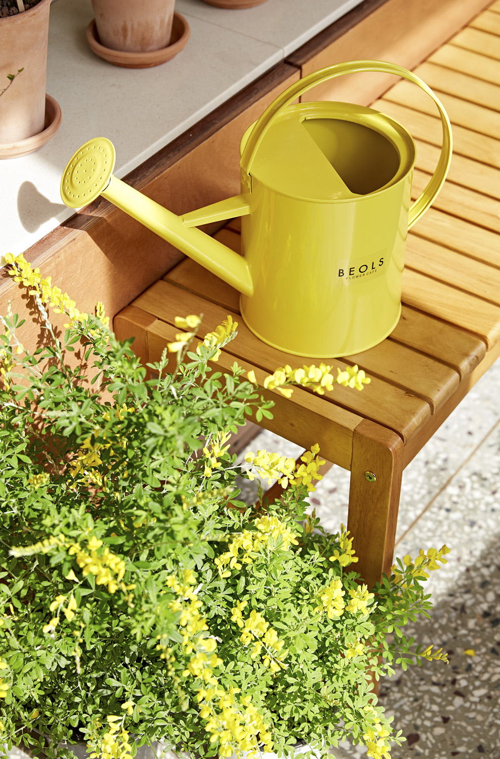 温煦氛围的 10 坪白砖咖啡馆设计案例-12