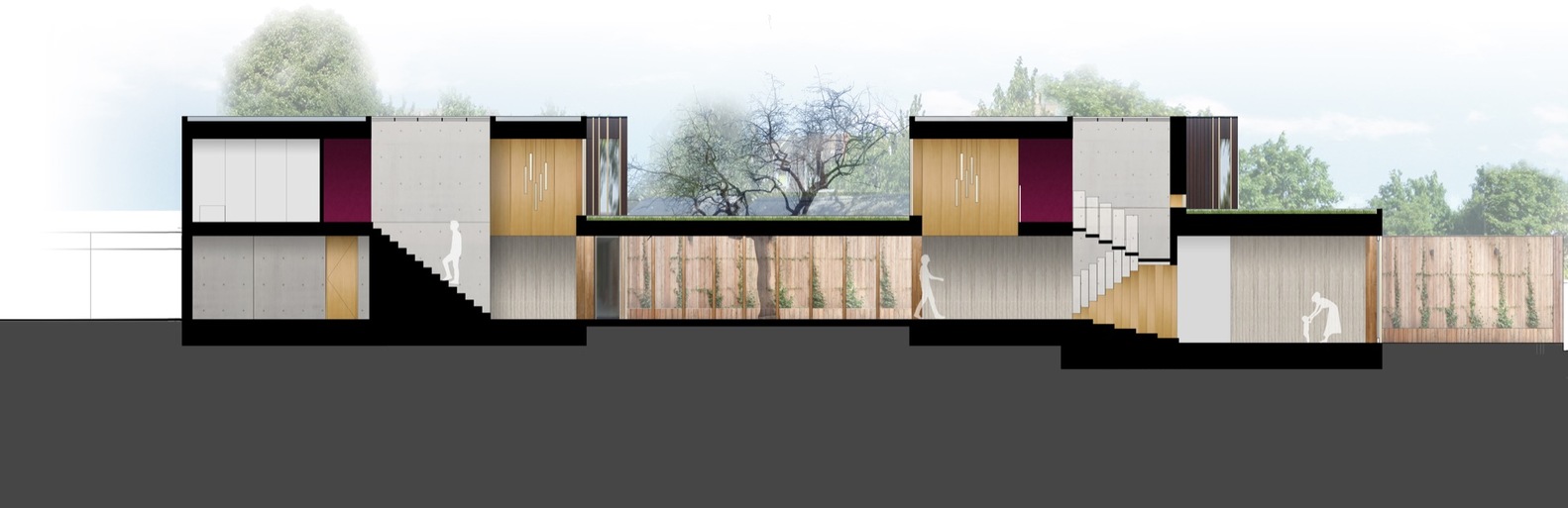 百年梨树下的生态家园-51