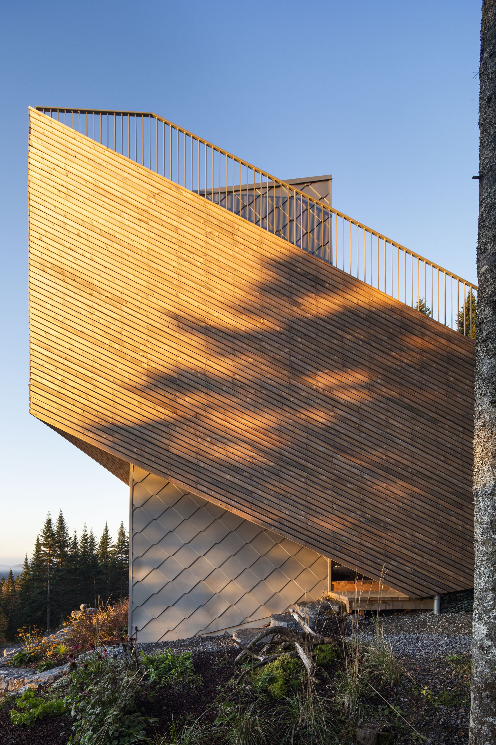 和平居处丨Quinzhee Architecture-12