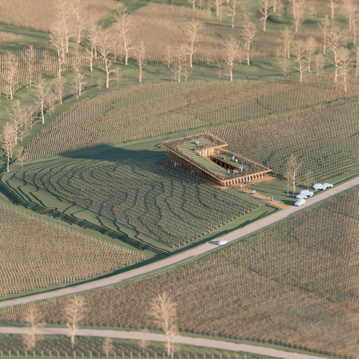 同批人;同期群;队列丨意大利波代诺内丨Beltrame Studio-22