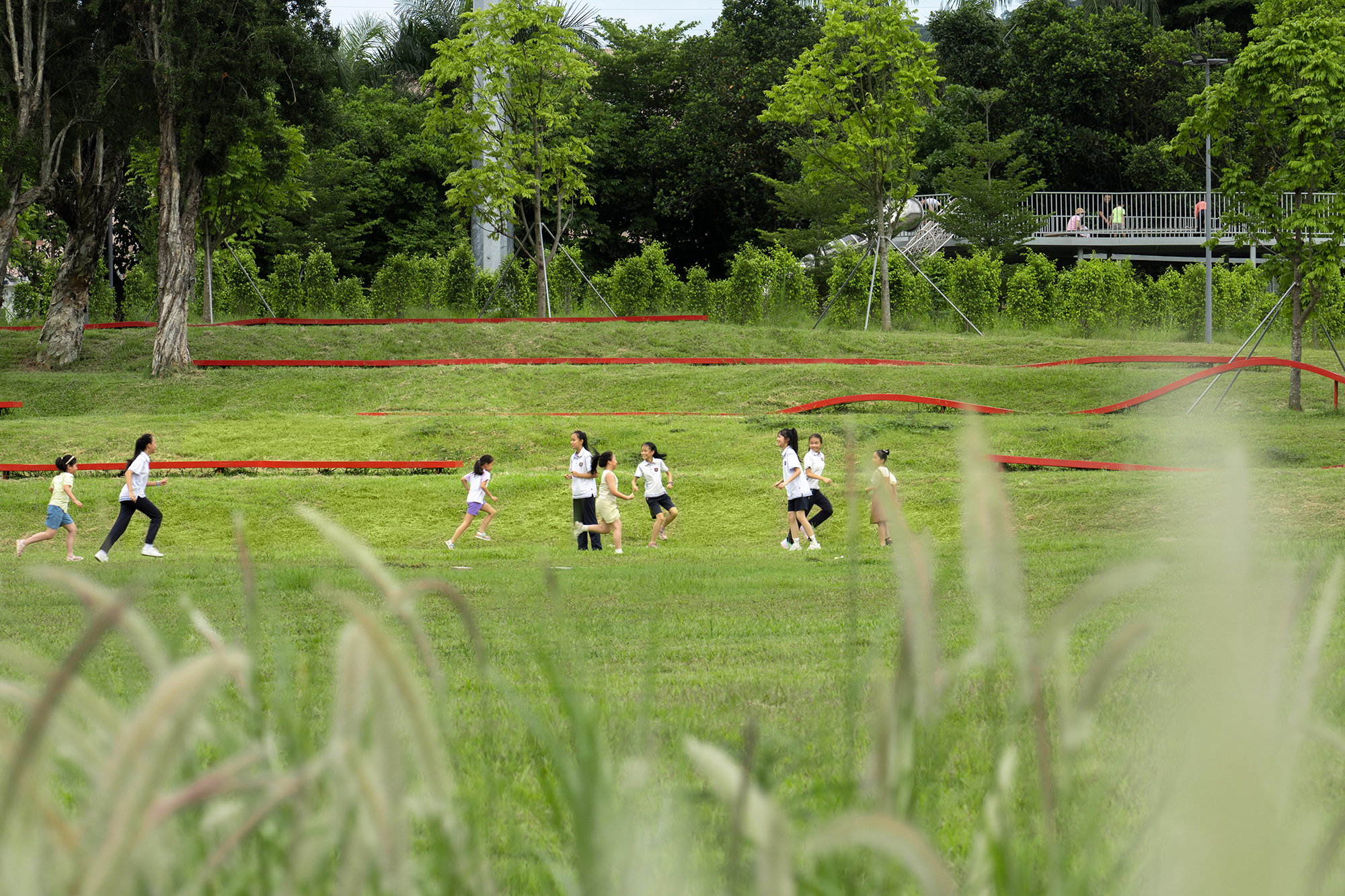 深圳光明虹桥1958生态公园丨中国深圳丨深圳自组空间,深圳市建筑科学研究院股份有限公司-46