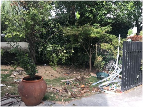 美式庭院设计案例,打造浪漫花园生活-4