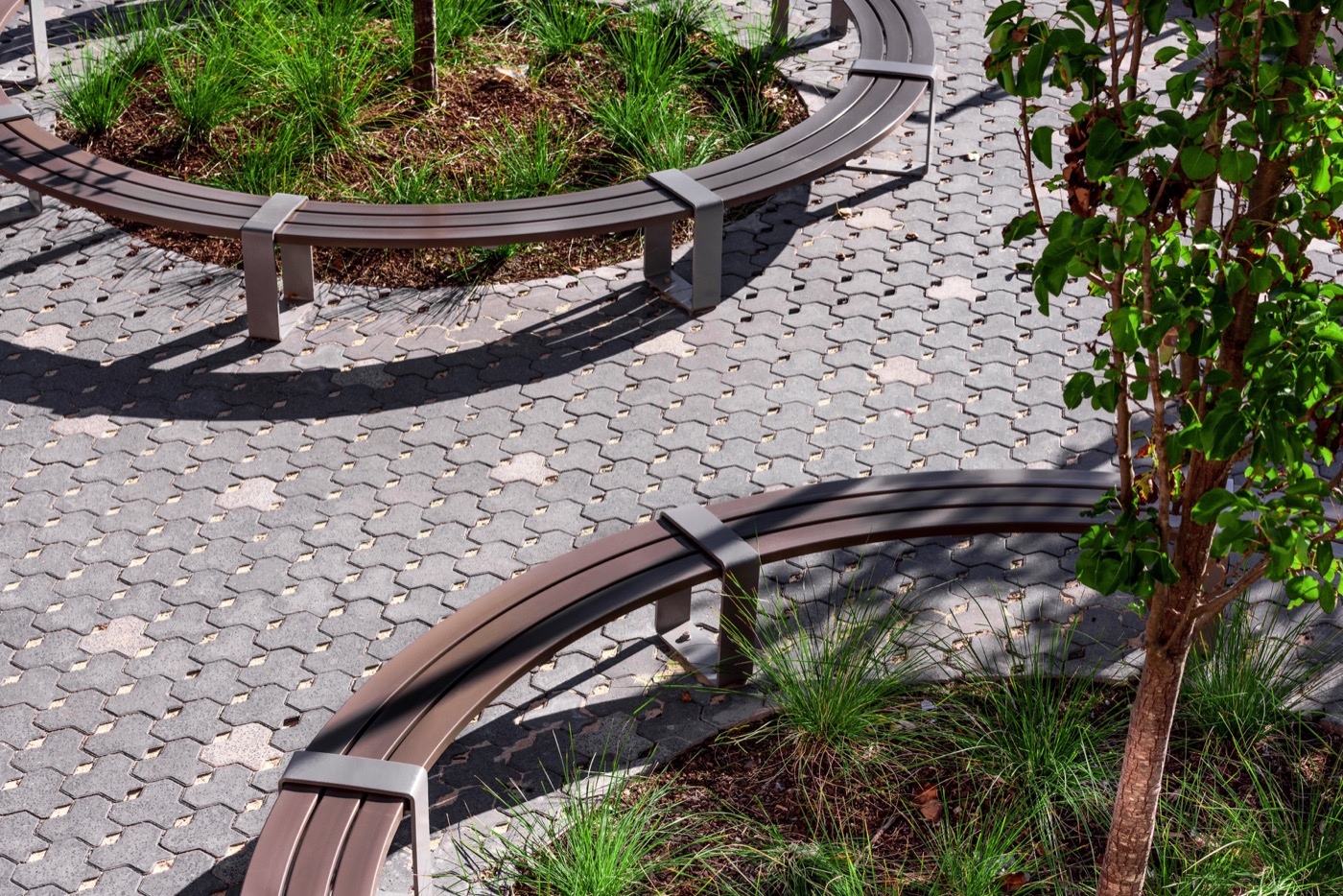 悉尼 Homebush West 公立学校景观设计-9