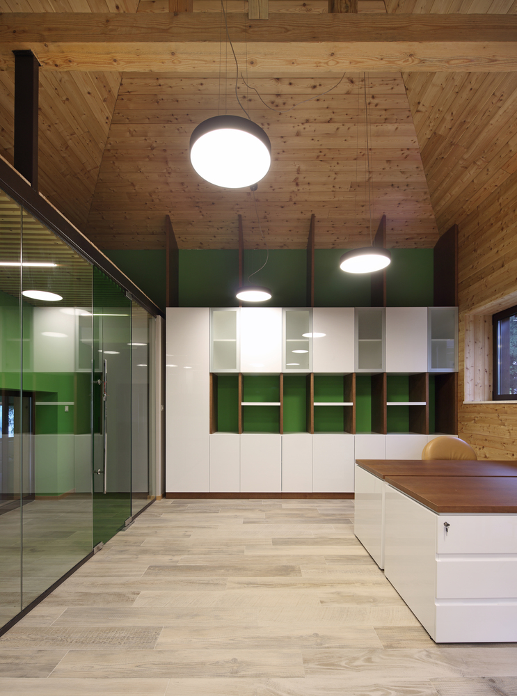 小宅大院，绿意盎然-12