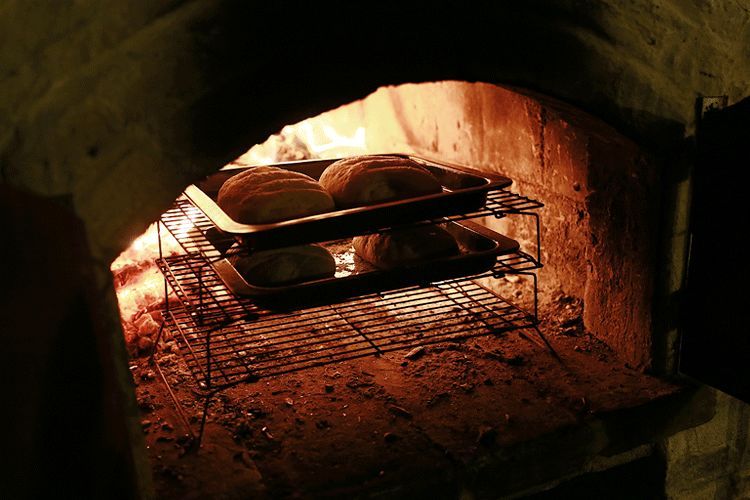 辞去工作,历时7个月,他们过上了有院子,有诗和远方的生活-92