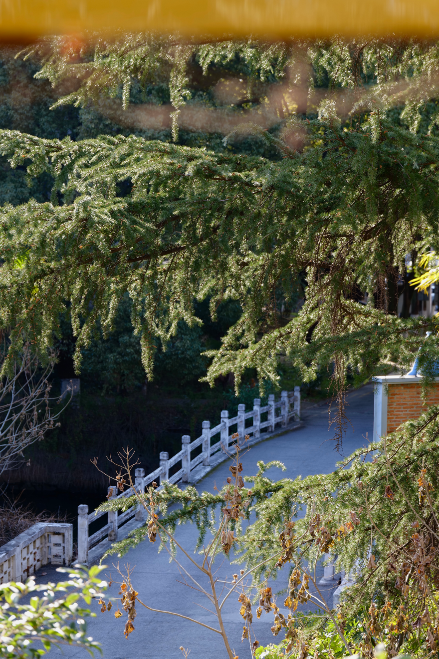 森林城堡丨中国苏州丨共境建筑空间设计事务所-6