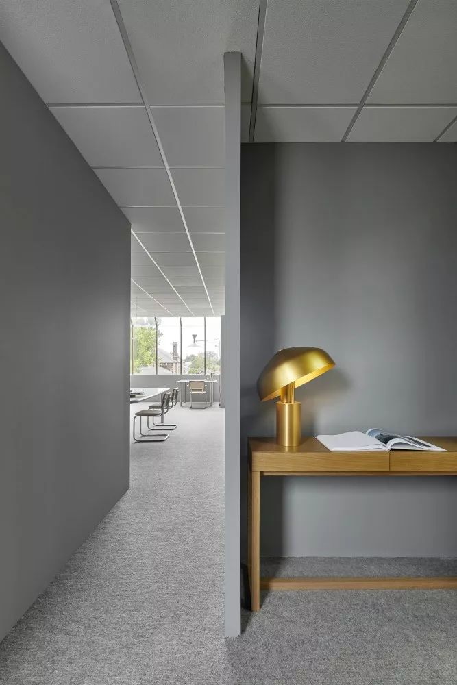 Davidov Architects | 住宅与公共概念的融合-13