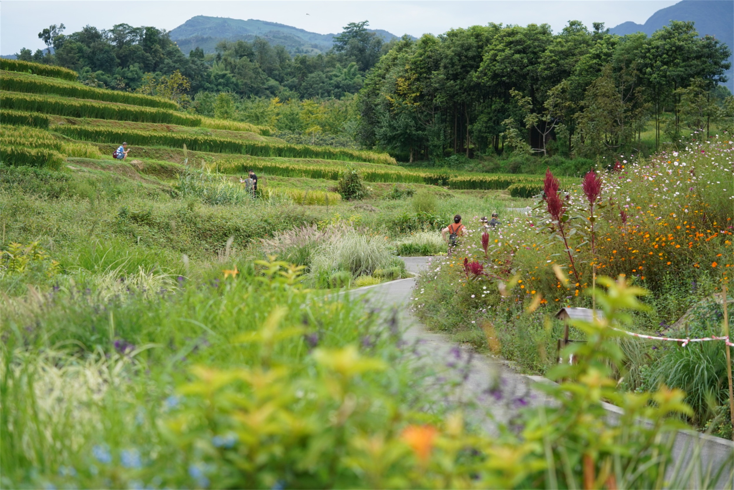 峨眉·高桥小镇丨中国眉山丨四川乐道景观设计有限公司-96