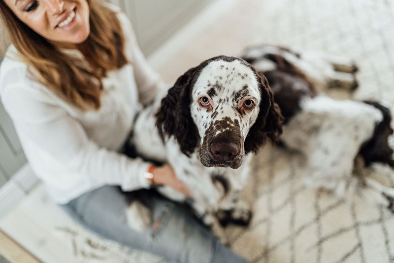 瑞典西海岸 Alvhem 创始人家的温馨家居-12