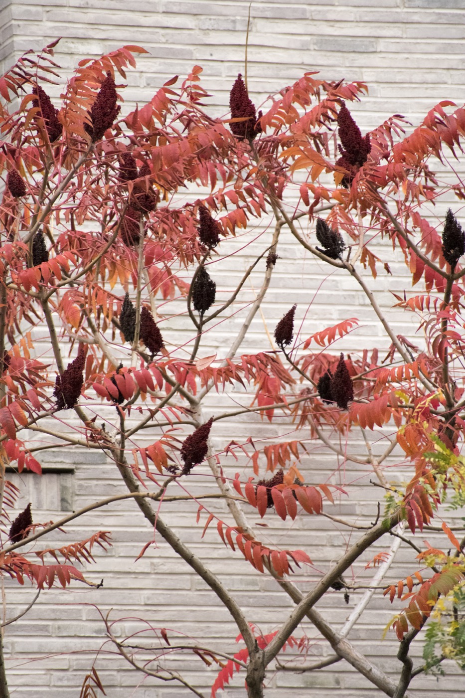 曼哈顿肉品加工区绿色住宅设计丨美国曼哈顿丨Future Green-14