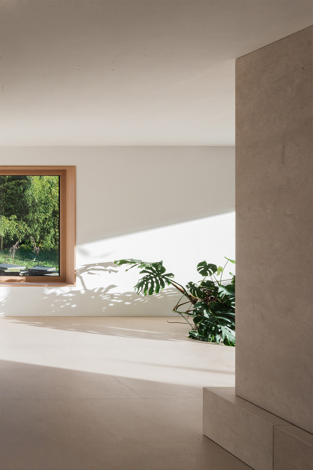 带有三个花园的房子丨Allen + Crippa-13