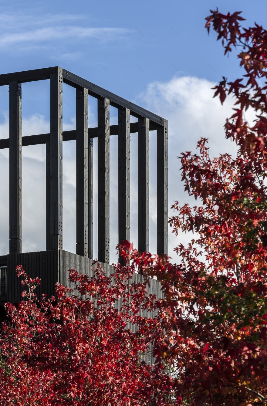 康宁加环的博西和图尔丨英国丨jmarchitects-23