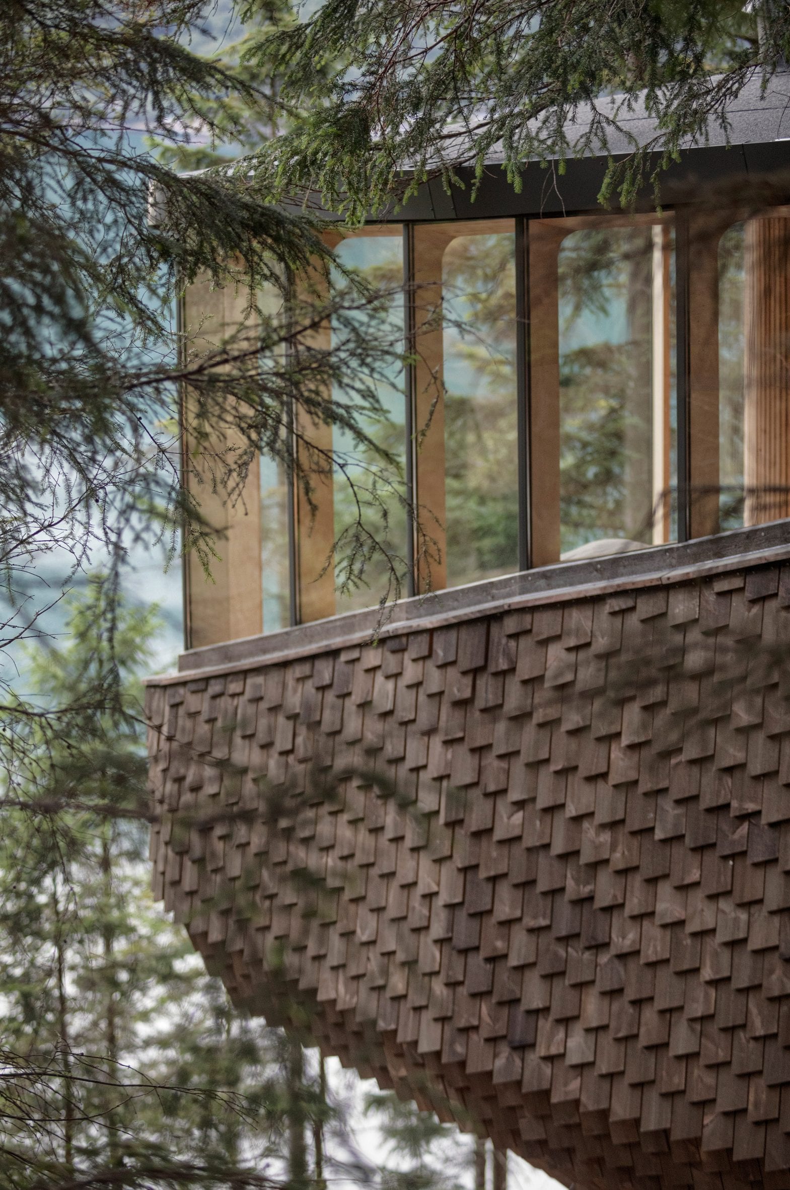 挪威森林树屋，悬浮在松树上的观景台-23