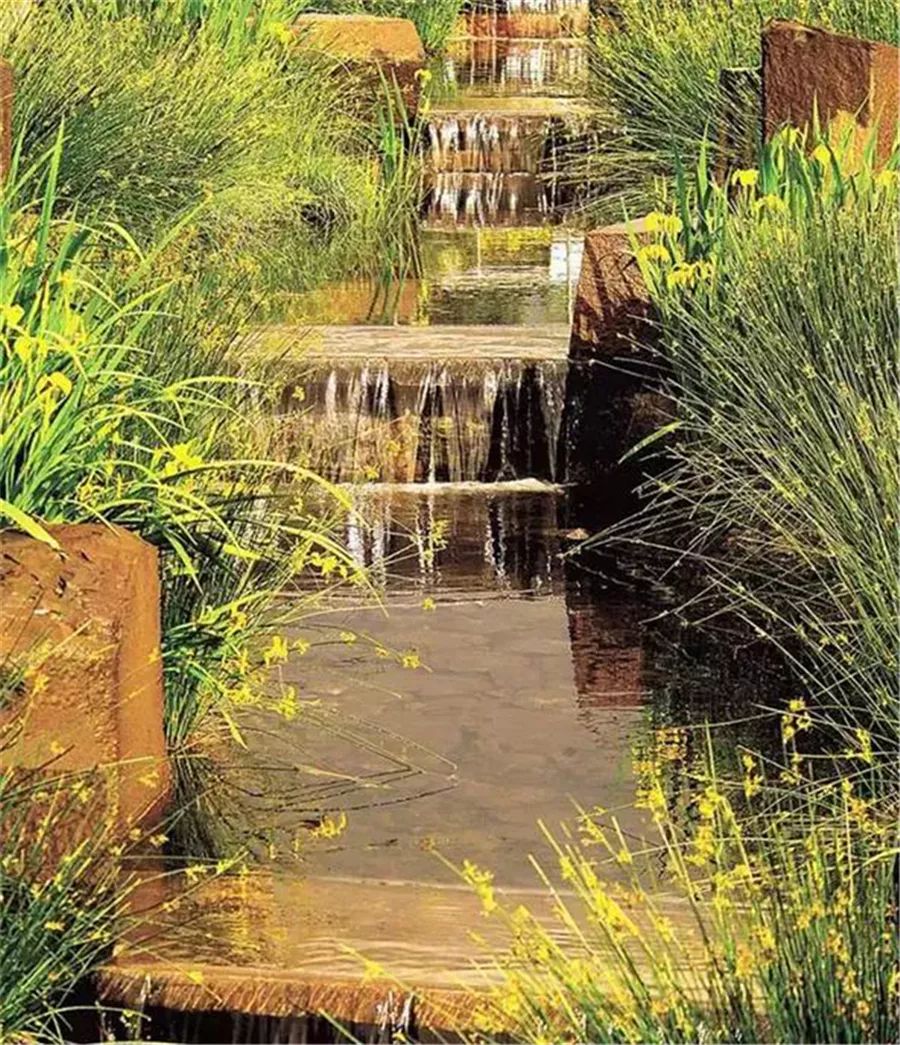 边界植物在景观设计中的妙用-71