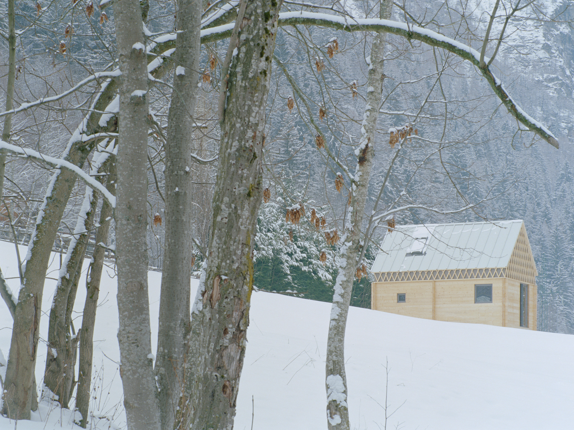 独特景观构建-7