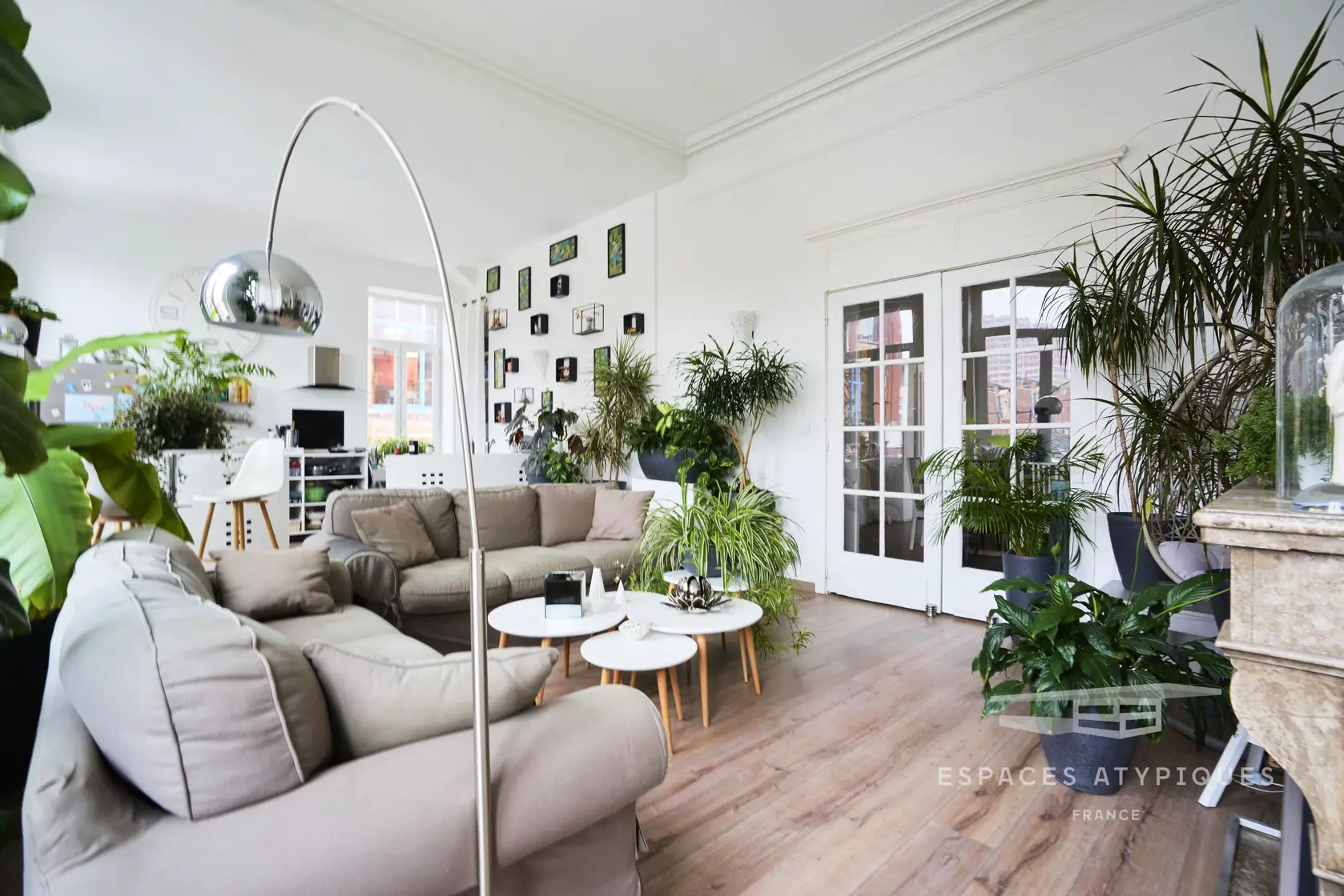 巴黎式公寓 | 绿意盎然的植物爱好者之家-5