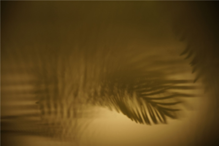 静安嘉里中心Underground Park·飨识里丨中国上海丨WMills by Wutopia Lab-38