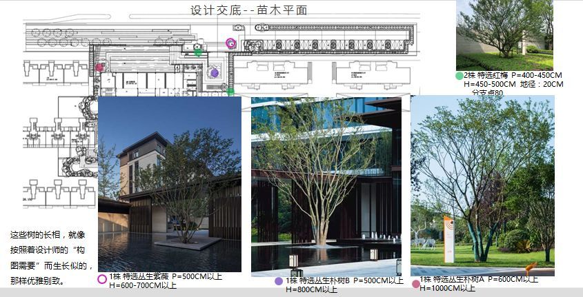 素美之境 | 阳光城句容•融悦东方设计解析-44