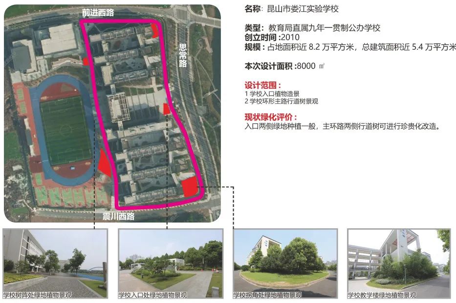 彩叶化树种装点昆山校园丨中国江苏丨上海亦境建筑景观-96