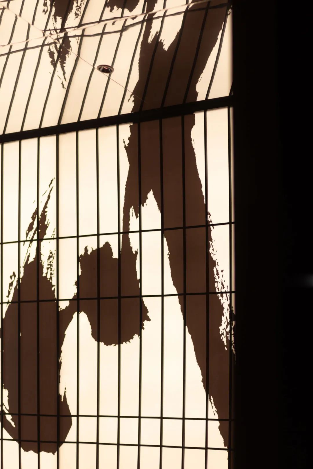 云川·割烹料理丨中国连云港丨连云港点度空间设计-33