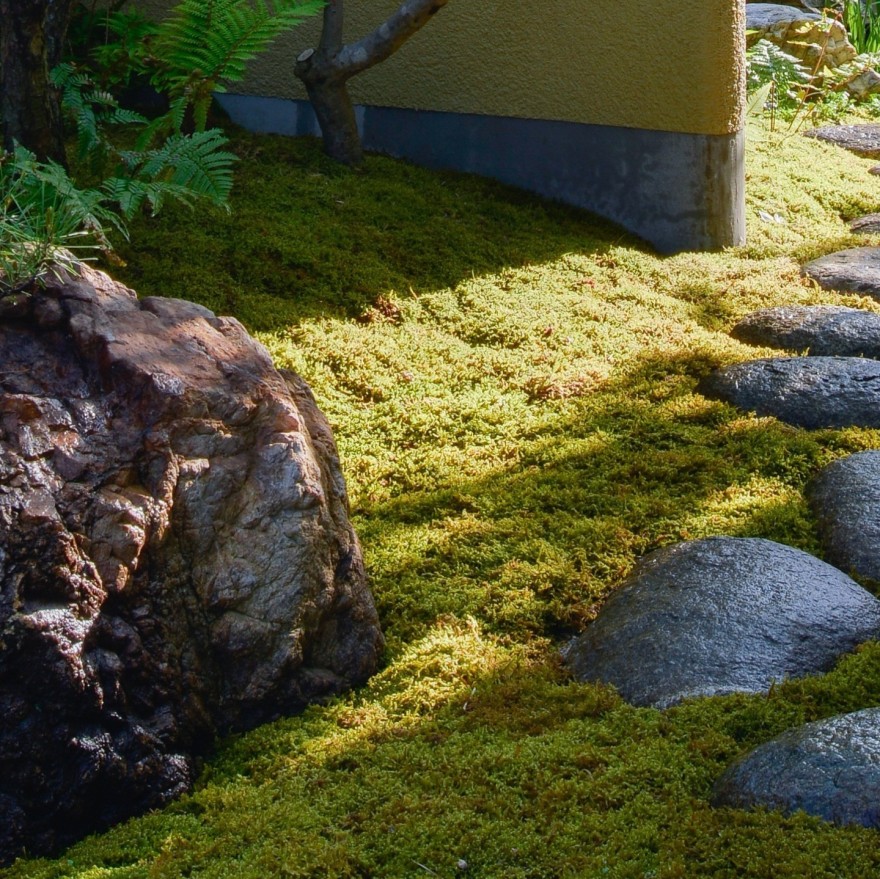 优雅花园 U 邸丨日本丨近江綴園(Omi Tsuzurien)-23