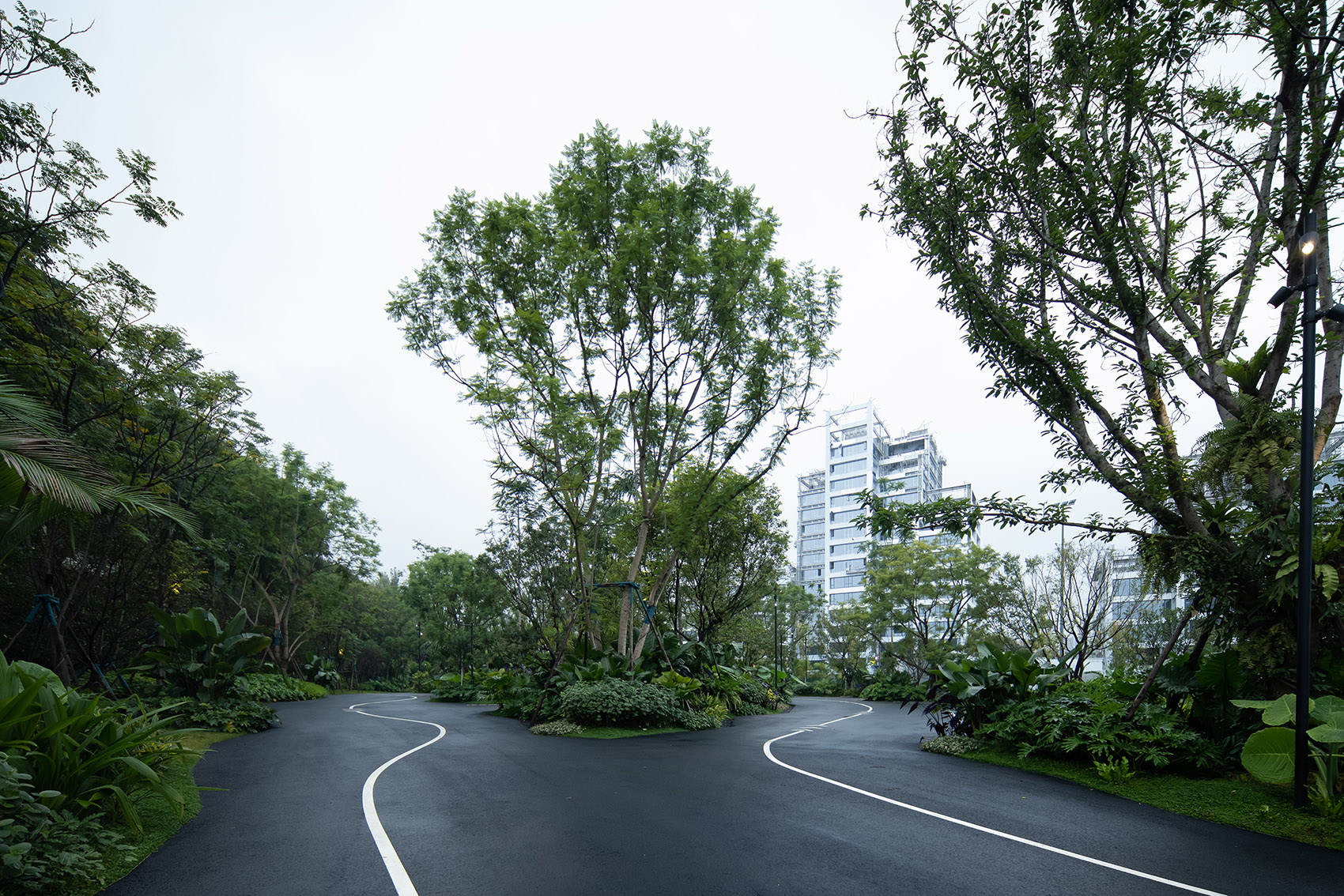 麓湖G11 PARK景观设计丨中国天津丨成都魏玛景观设计有限公司-77