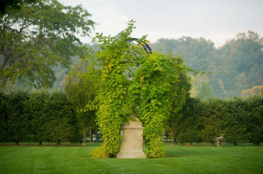 丨美国纽约丨Janice Parker Landscape Architects-12