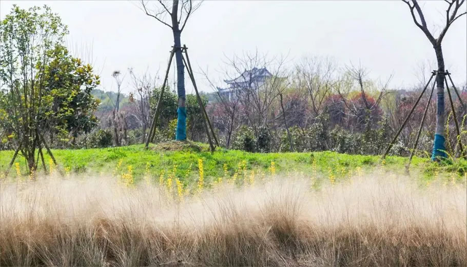 肥东县长临河公园景观提升设计丨中国安徽丨黑森林设计股份公司-50