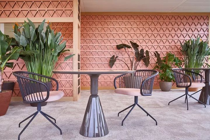 日内瓦 GAVI 办公室设计展现多样性与温暖-3