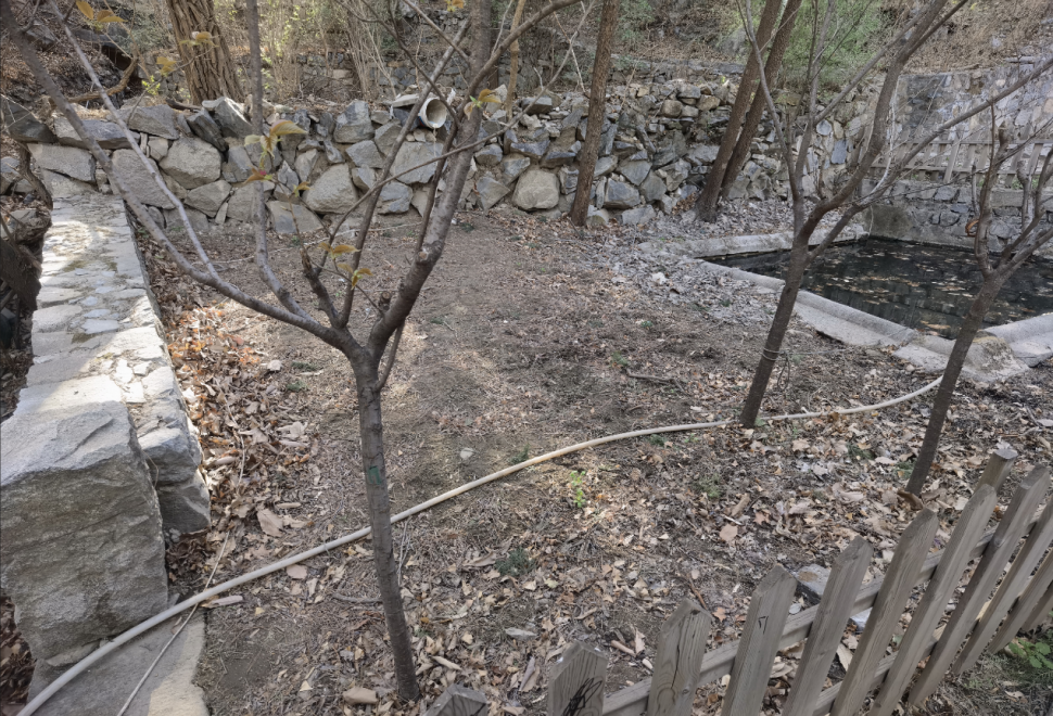 “百年中法友谊的见证者”——北林地景助力贝家花园焕新开放-45