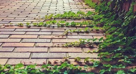 一尺花园（龙湾度假区店）星空屋民宿-133