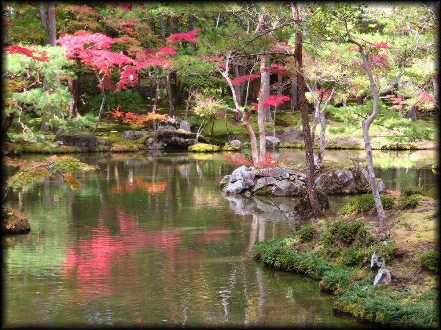 苔寺(西芳寺)的苔庭(黄金池,金刚池)丨日本京都丨梦窗疎石-18