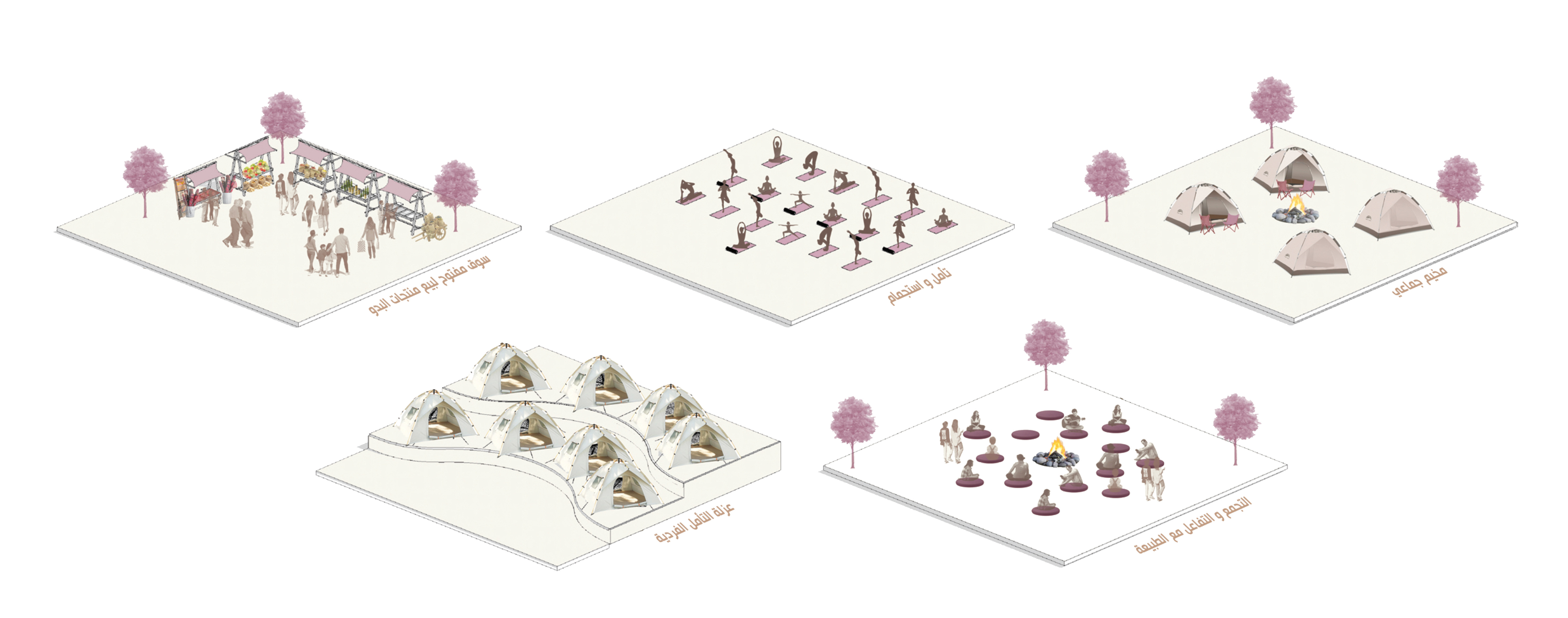 2025 年毕业设计丨Egypt-24