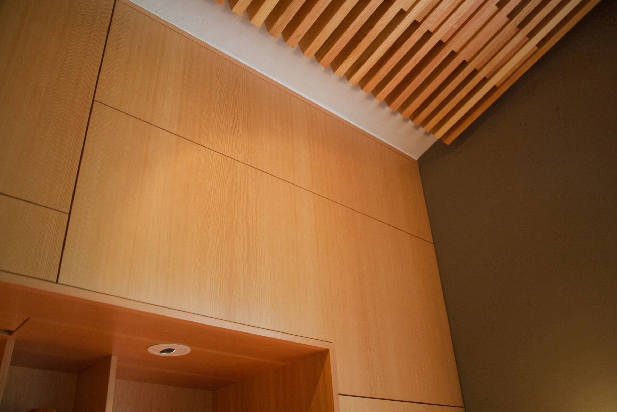 加州 Alamo 家庭影院室的设计翻新-26