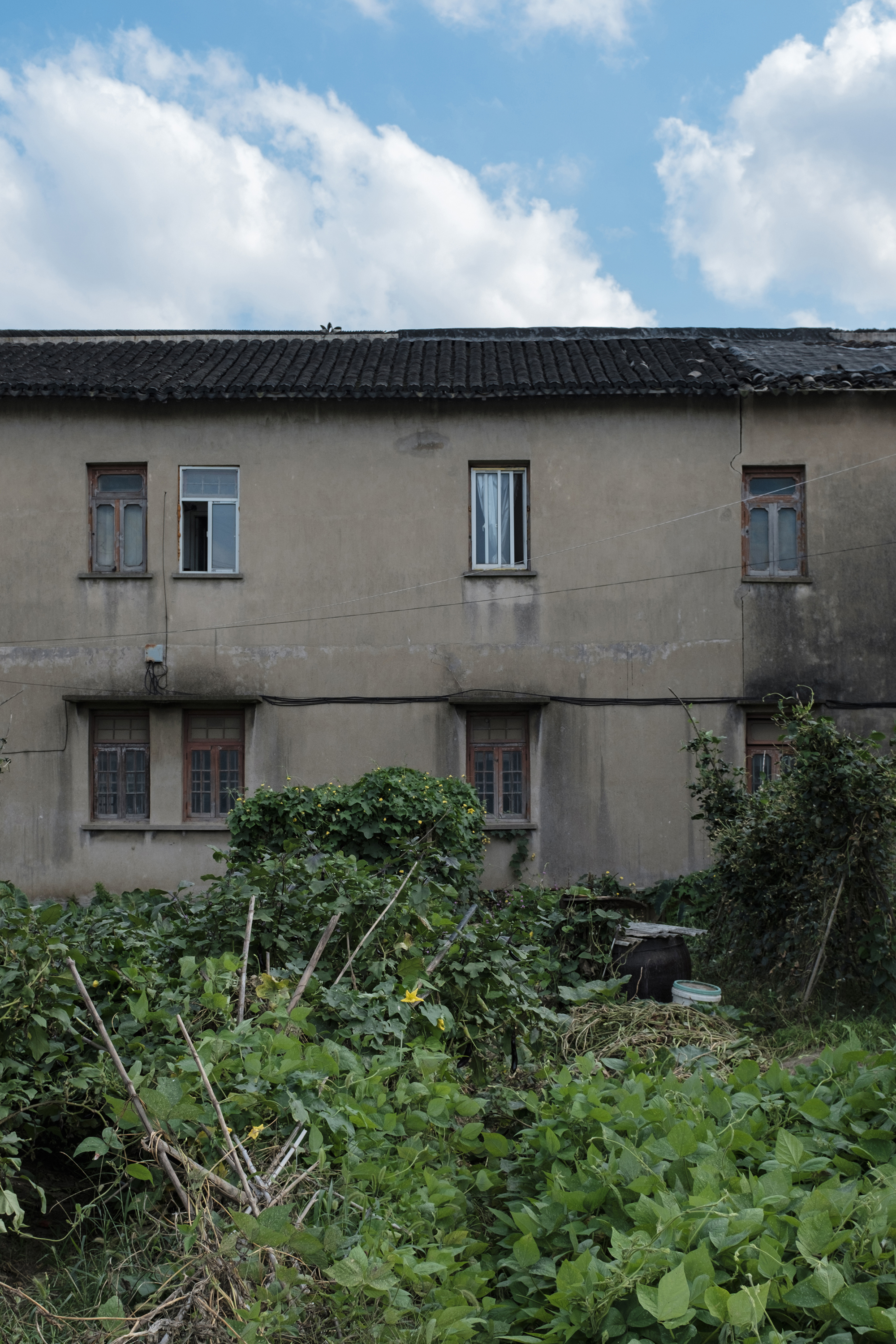 隔壁的村子要消失了-7